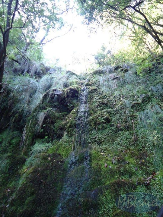 Levada Ribeiro Frio Portela