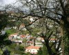 Levada Serra do Faial