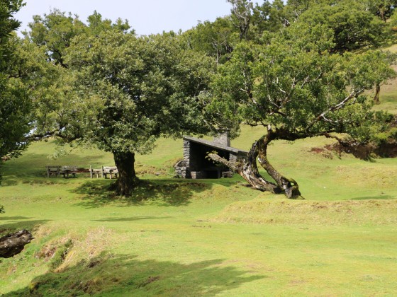 Vereda – Fanal & Praia do Seixal